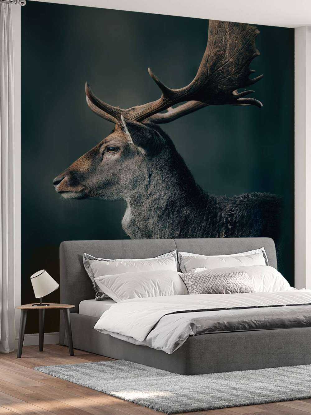 Jeleń daniel zbliżenie