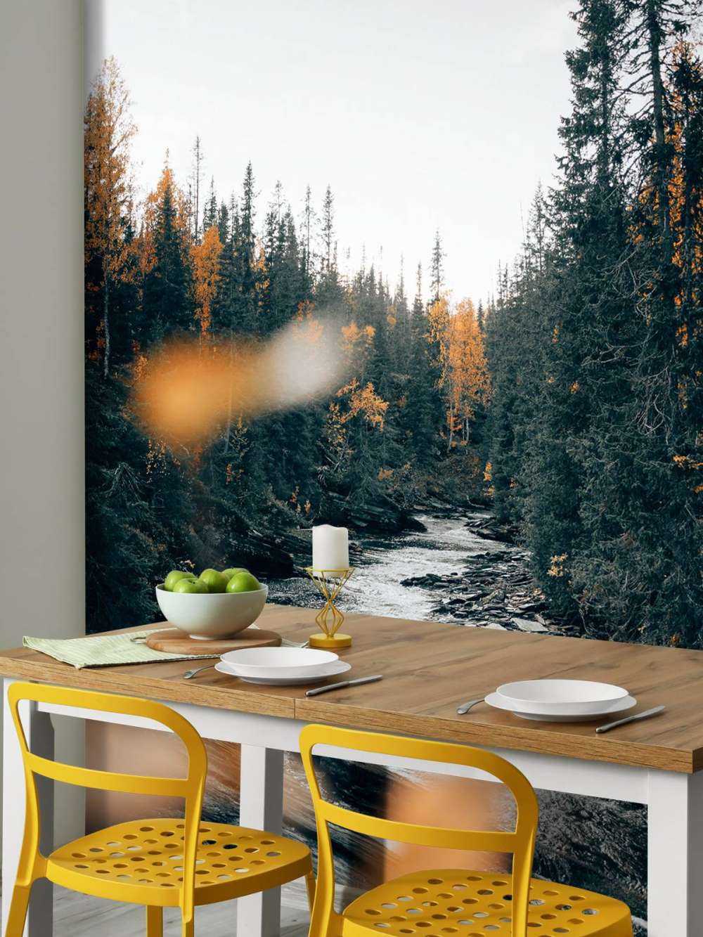 Zaczarowany jesienny las