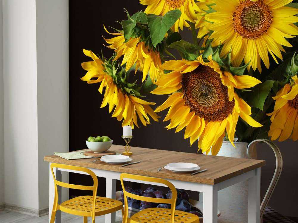 Słoneczniki i jagody