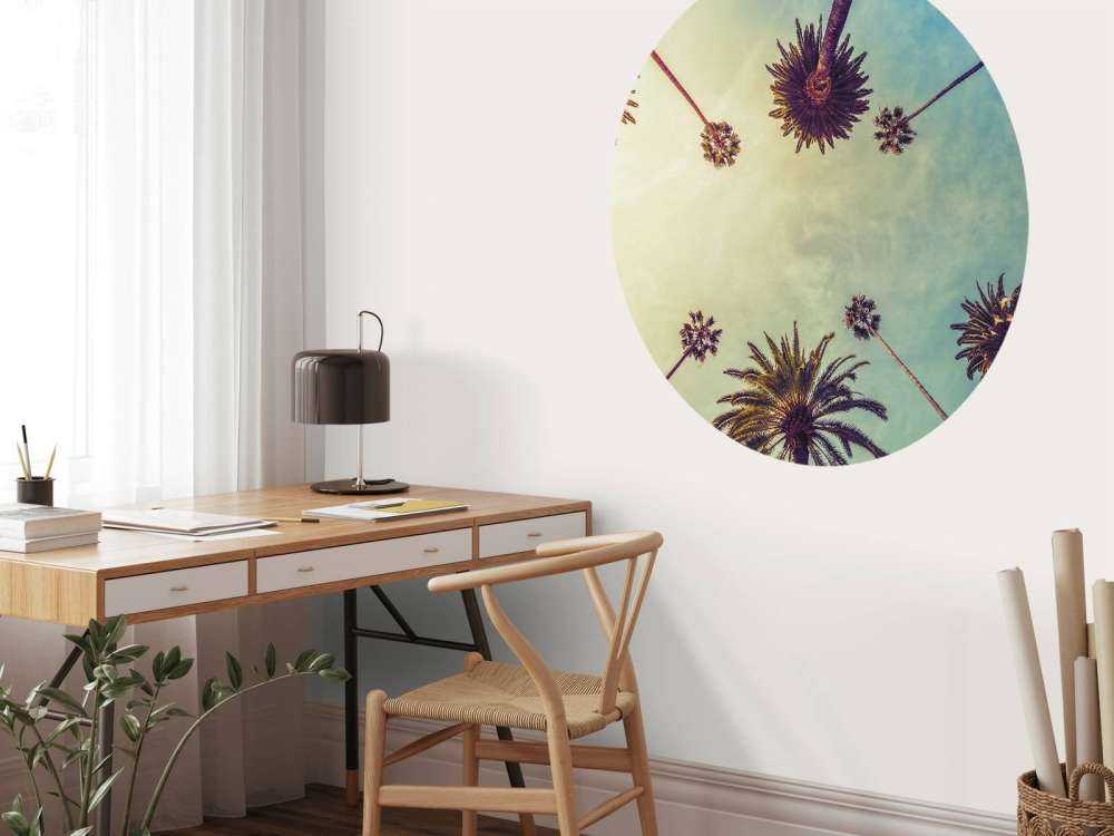 Widok z dołu na palmy