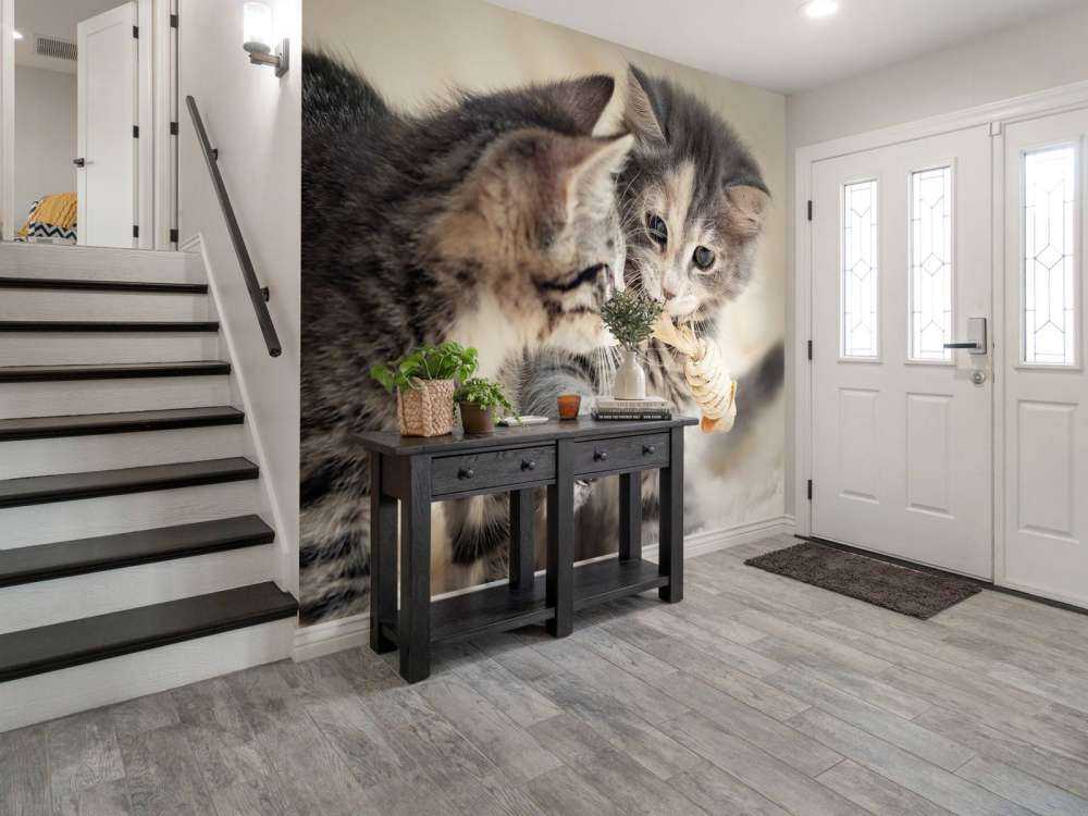 Bawiące się kocięta