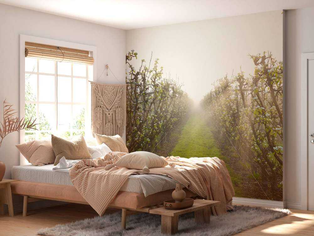 Kwiat gruszy we mgle