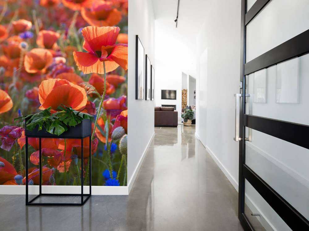 Maki w wieczornym świetle