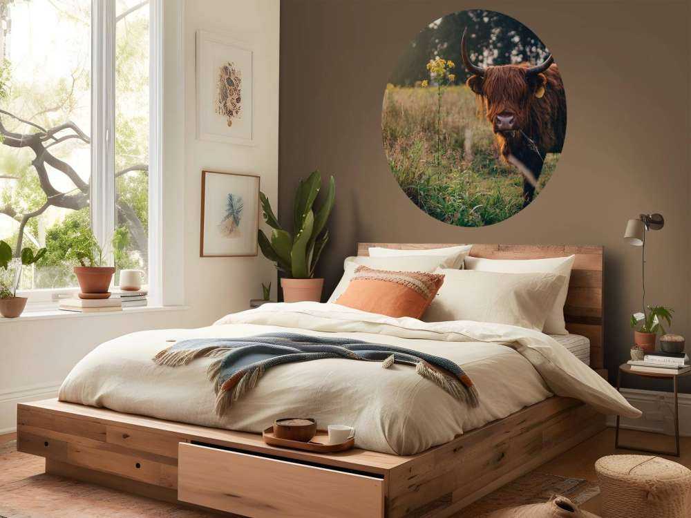 Szkocki wyżyn w wysokiej trawie