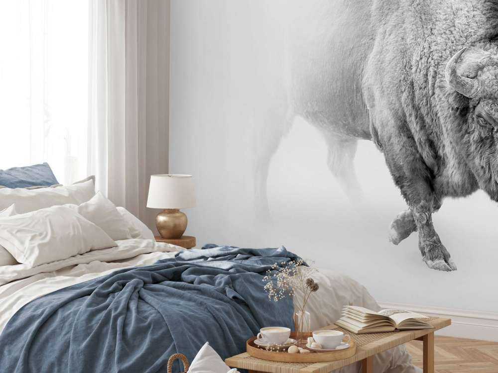 Żubr czarny i biały