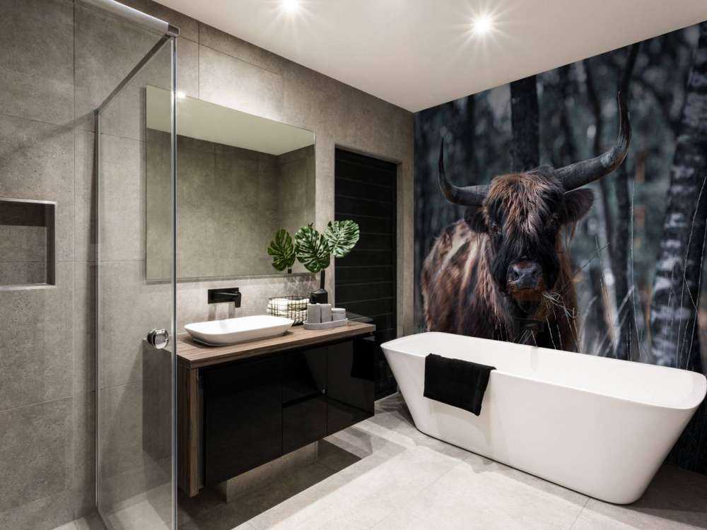 Szkocka rasa wyżynna