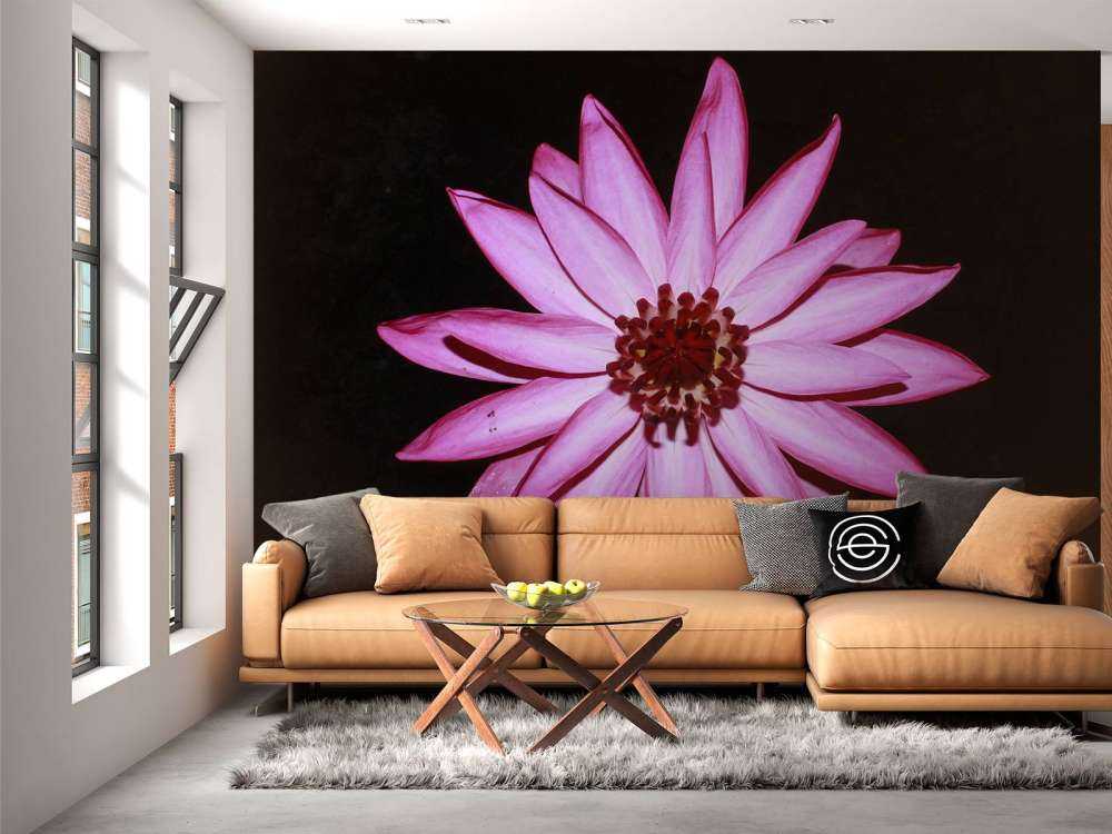 Kwiat lotosu z góry