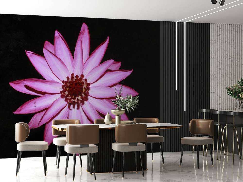 Kwiat lotosu z góry