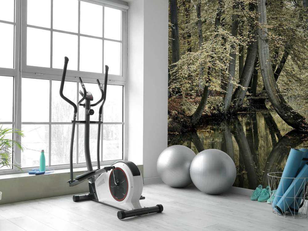 Strumień z wiszącymi drzewami