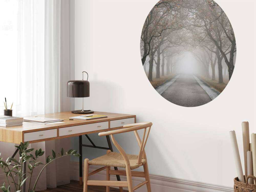 Droga ze starymi drzewami