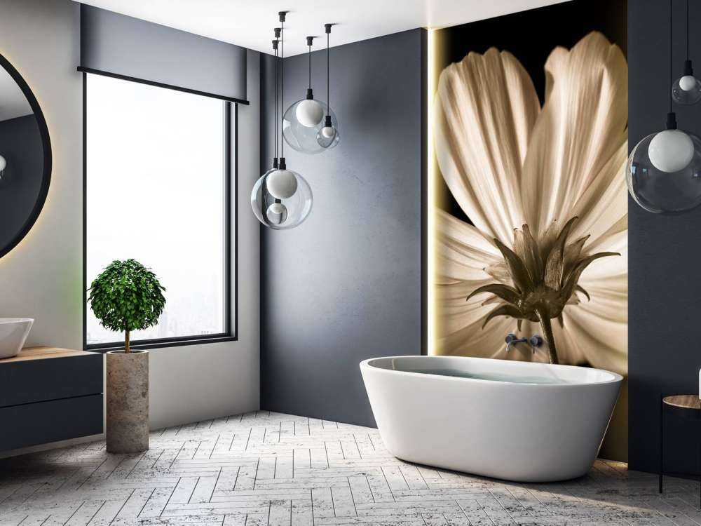 Kwiat kosmosu od dołu