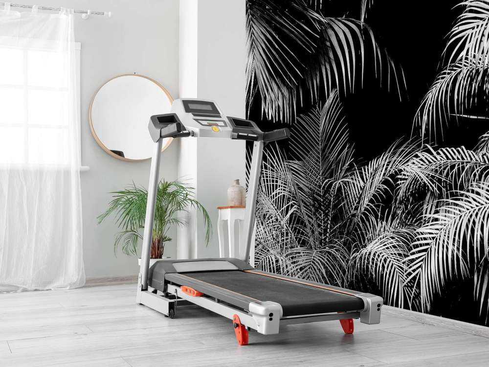 Roślina z białymi liśćmi