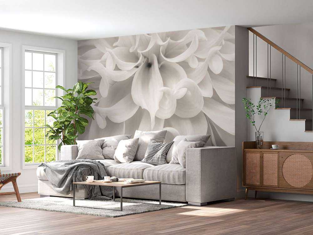 Zbliżenie na kwiat dalii