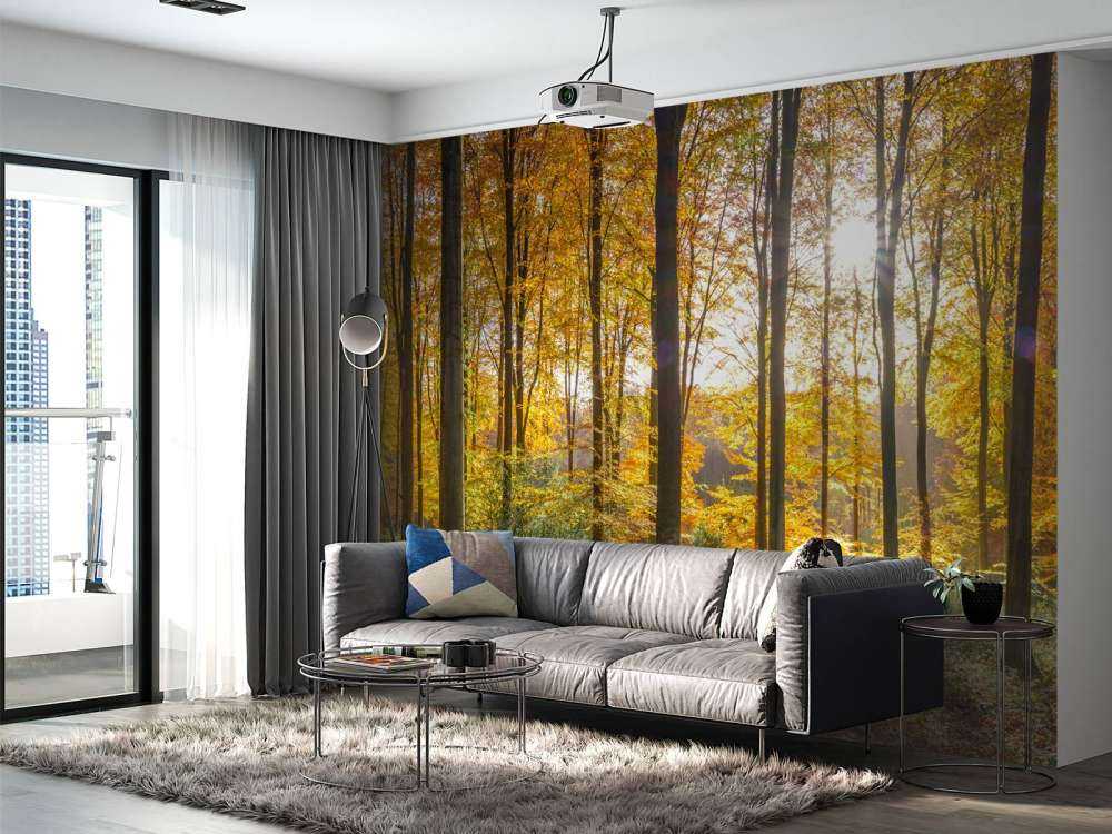 Słoneczny jesienny dzień