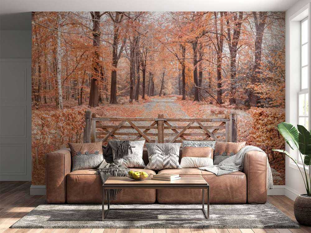 Przejście do jesiennego lasu