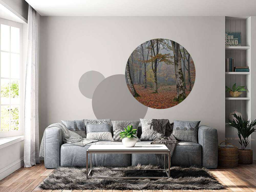 Jesienny las brzozowy