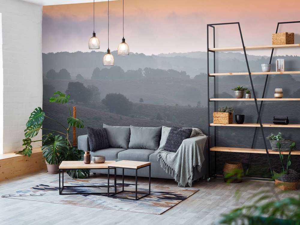 Mglisty wschód słońca na wrzosowisku