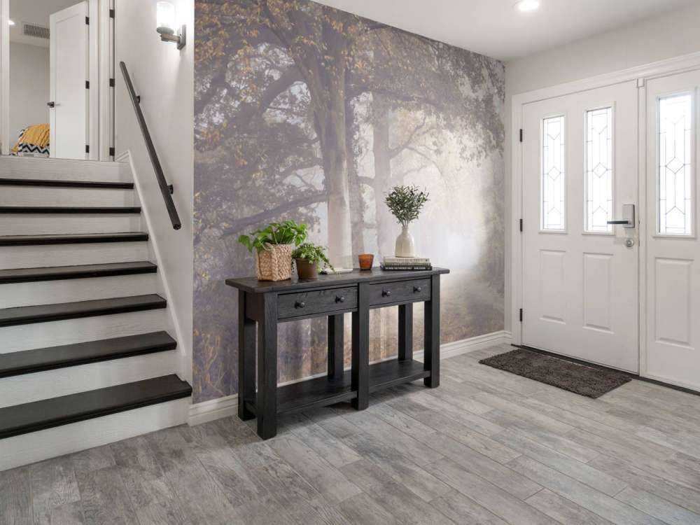 Zamglona droga z drzewami