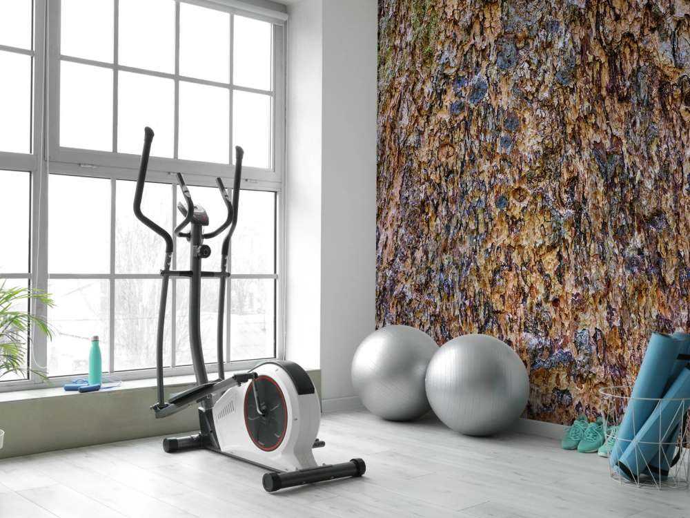 Kora drzewna brązowa