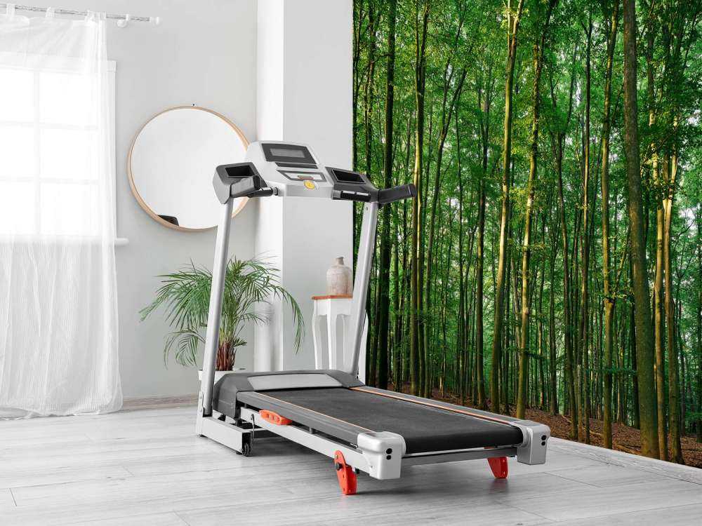 Zielony las ze światłem słonecznym