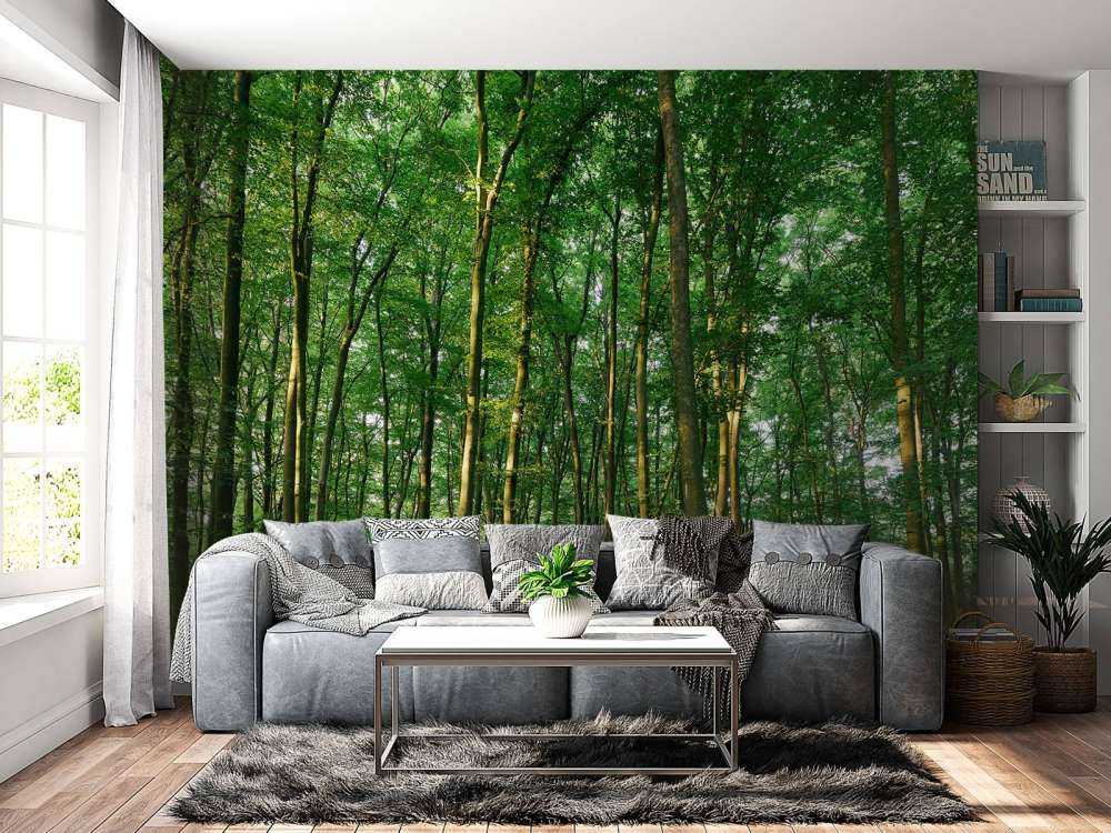 Zielony las ze światłem słonecznym