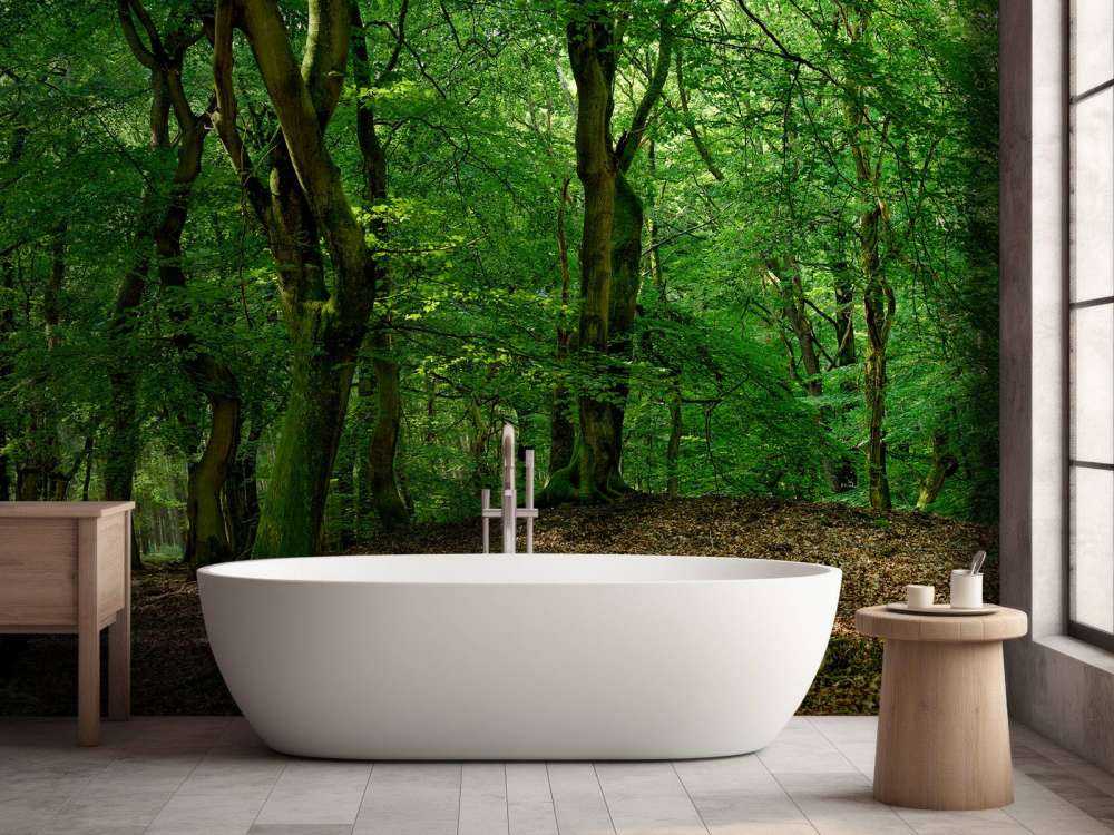 Drzewa z zielonymi liśćmi 