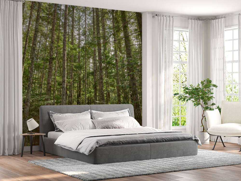 Cienkie drzewa w lesie