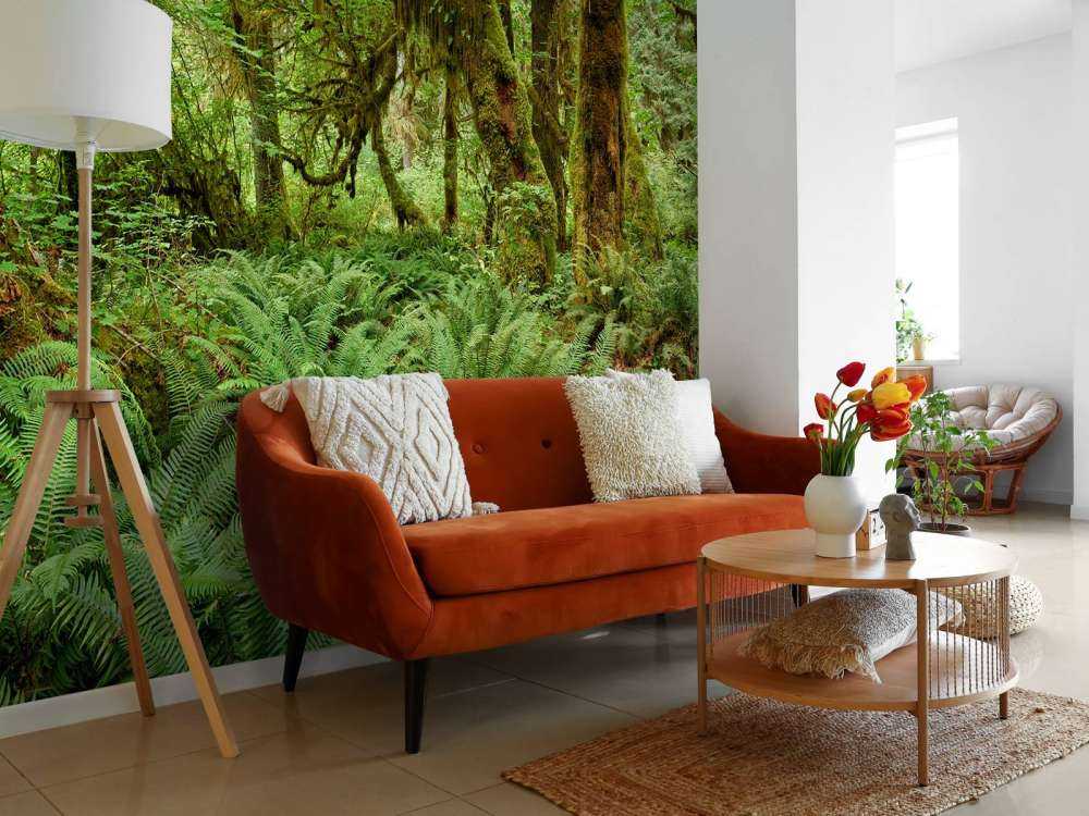 Paprocie w starym lesie