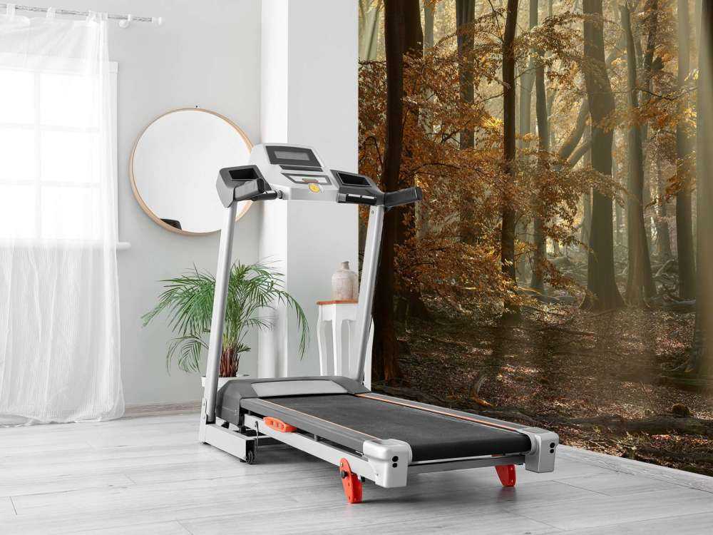 Jesienne kolory w lesie