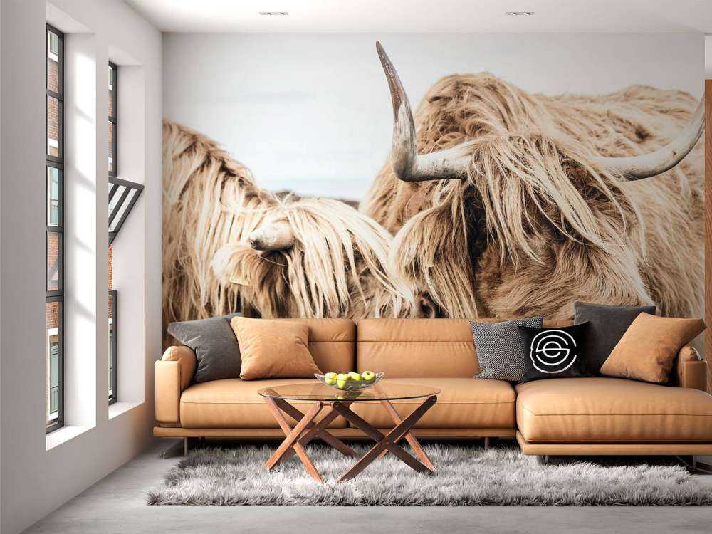 Dwa szkockie wyżynny