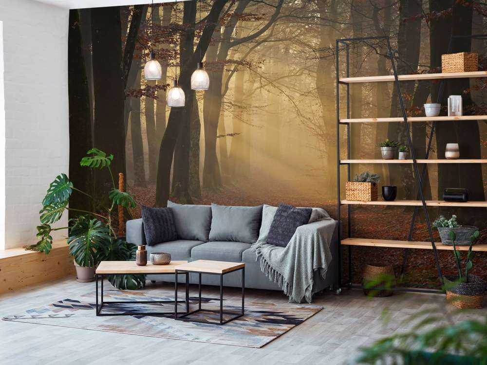 Tajemniczy jesienny las