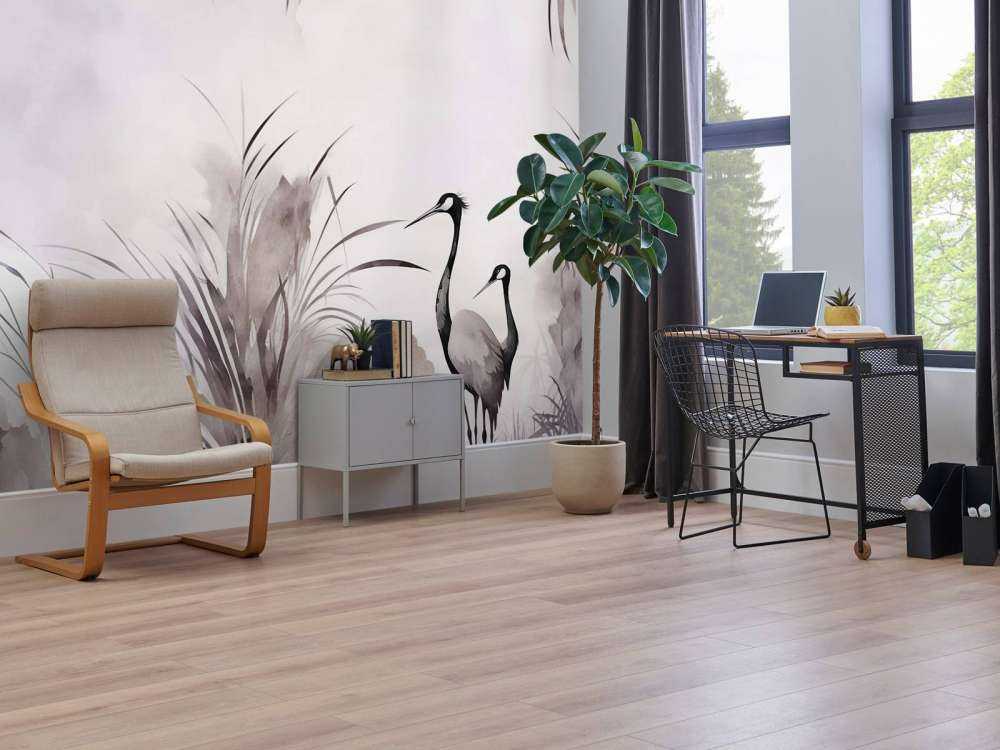 Żurawie w Białym Polu