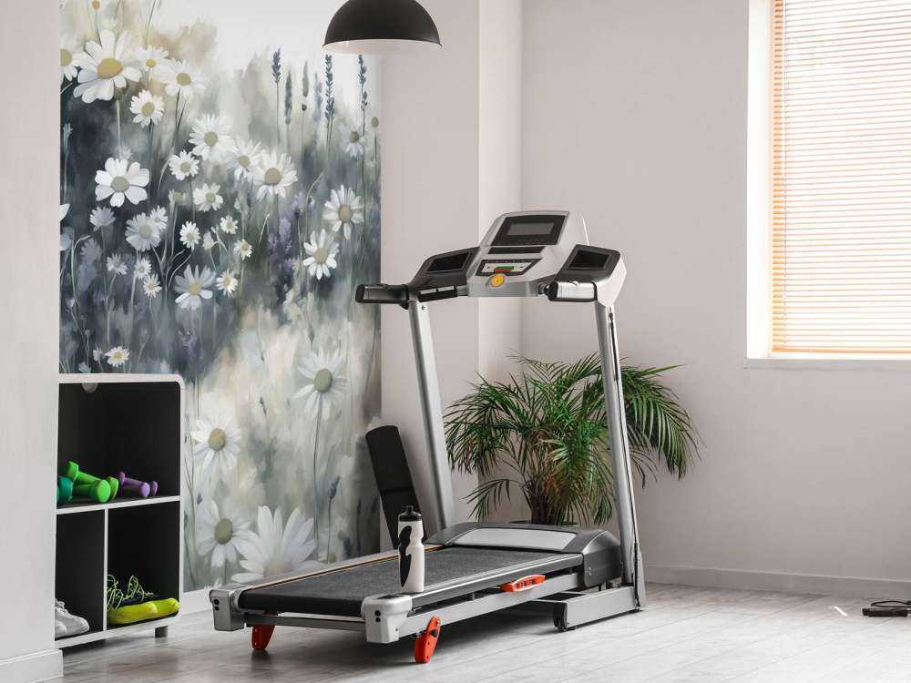 Cicha Łąka Stokrotek Zielona