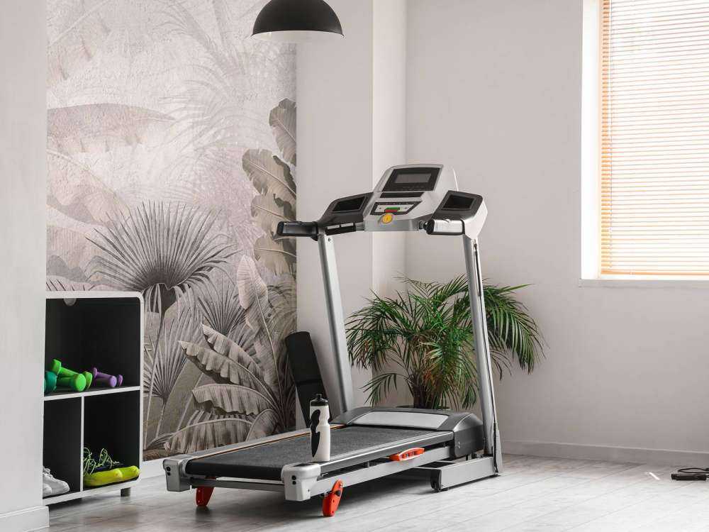 Mistig dżungla przepych