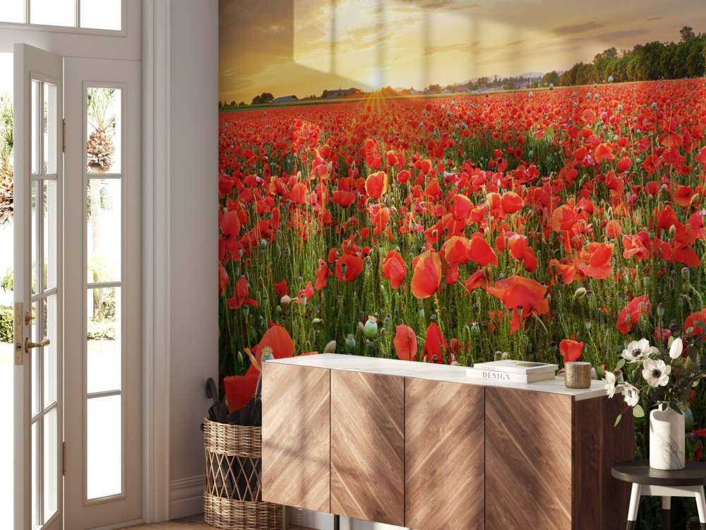 Zachód słońca z makami