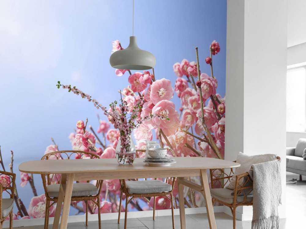 Kwiaty na tle błękitnego nieba