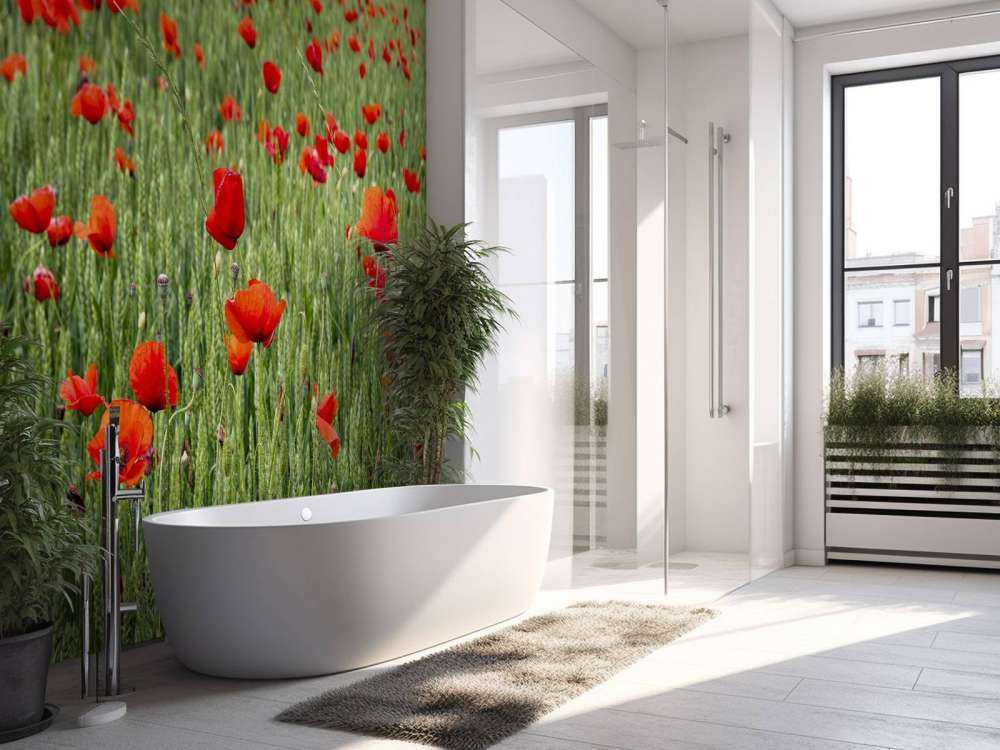 Pole czerwonych maków