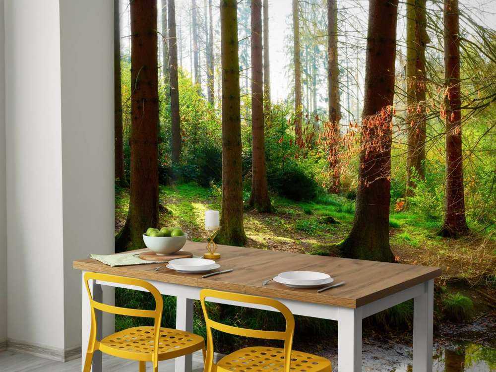 Jesienny las z jasnym światłem słonecznym