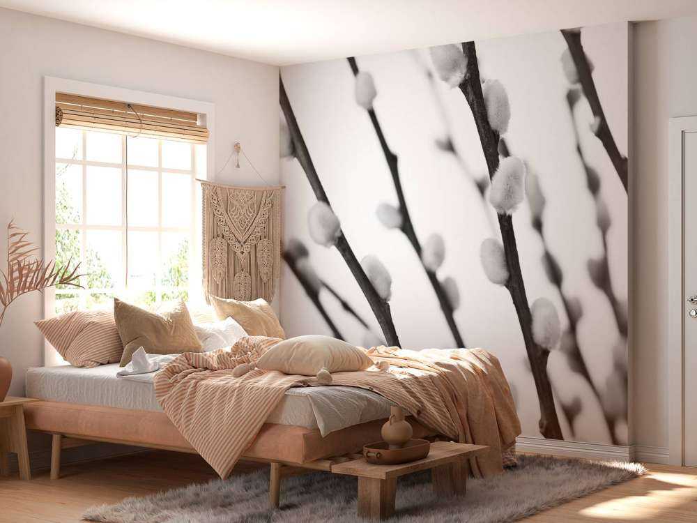 Wierzba leśna w czerni i bieli