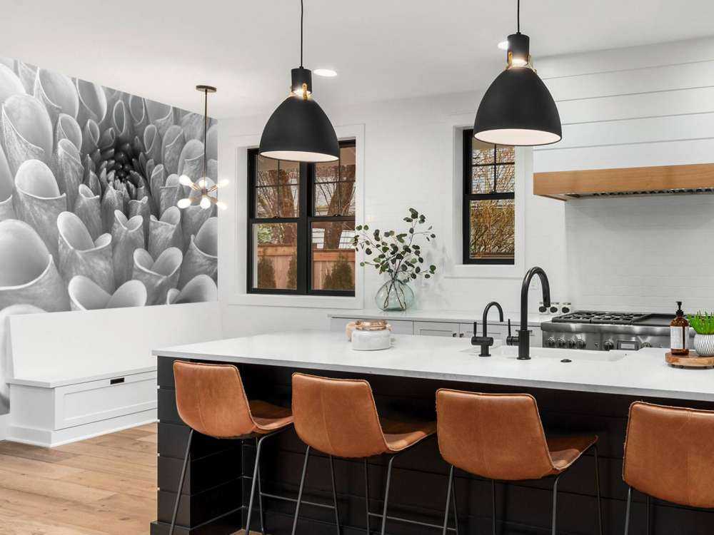 Zbliżenie na dalię