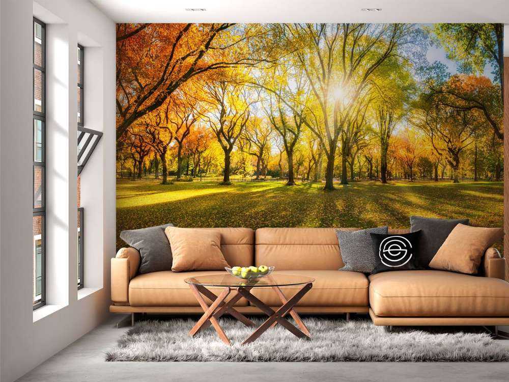 Kolorowy jesienny las