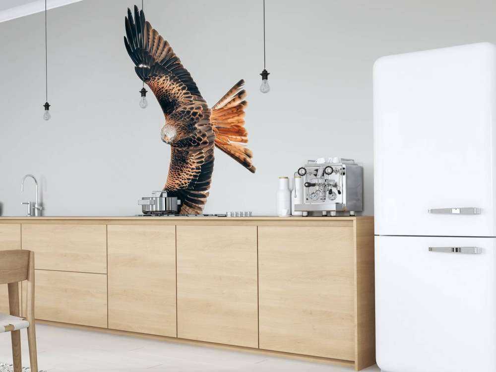 Czerwony latawiec z rozpostartymi skrzydłami