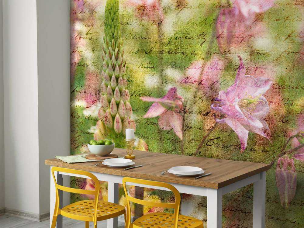 Colorful Aquilegia flowers on plants in garden