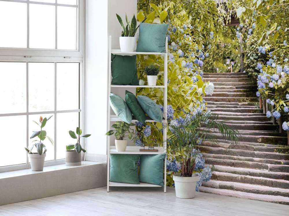 Niebieskie kwiaty w parku