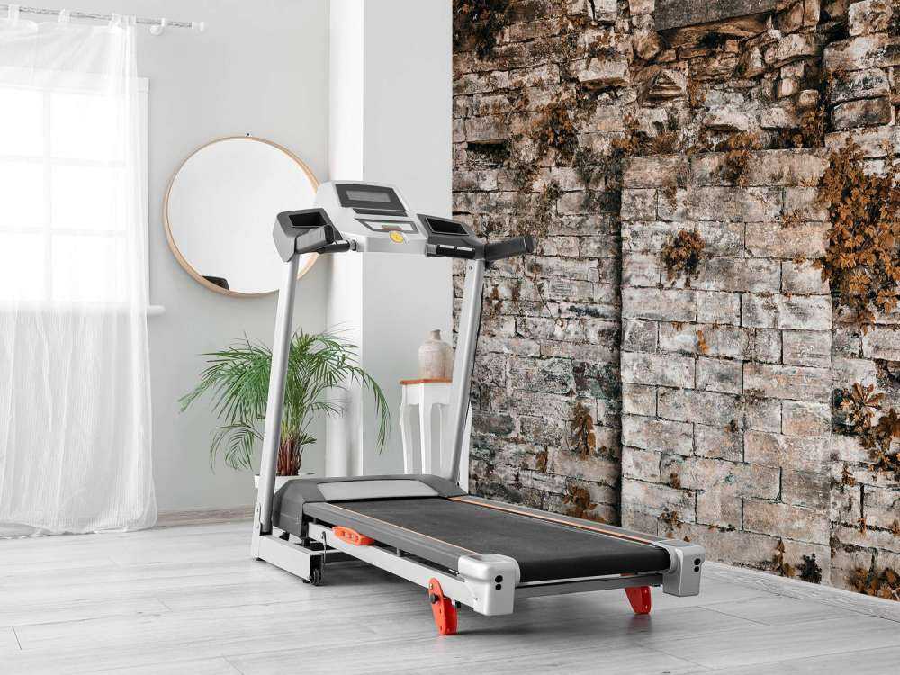 Ściana pokryta roślinnością jesienią