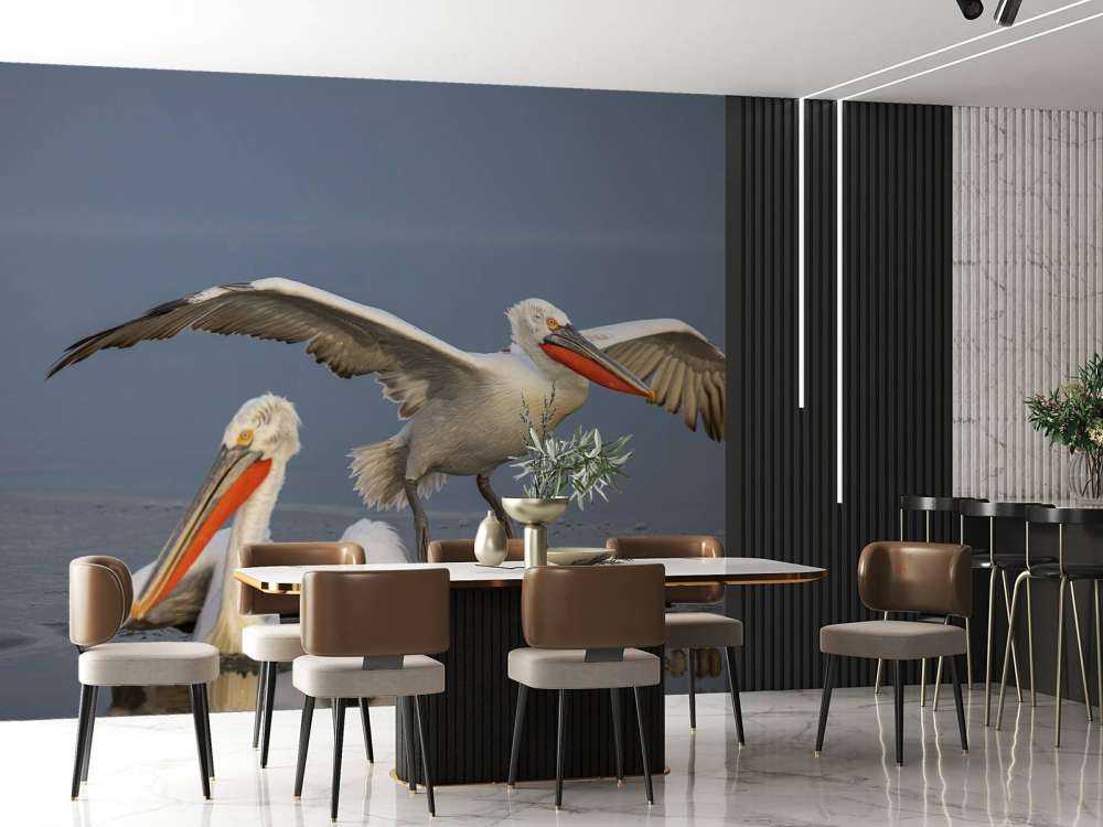 pelikan dalmatyński