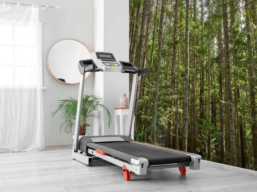 Cienkie drzewa w lesie