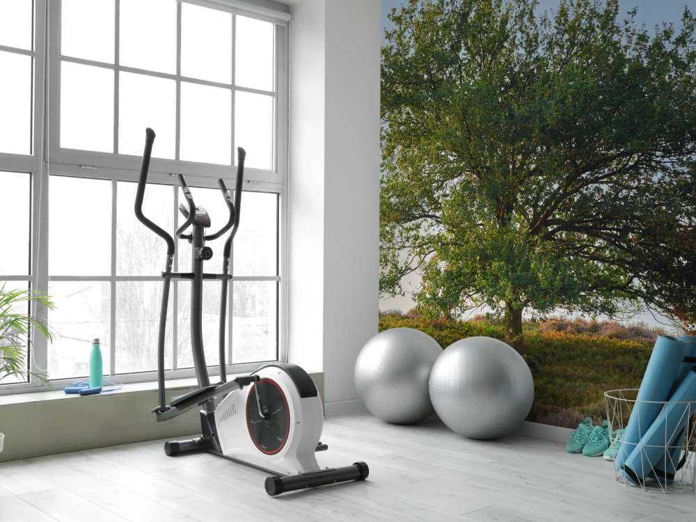 Samotne drzewo na wrzosowisku