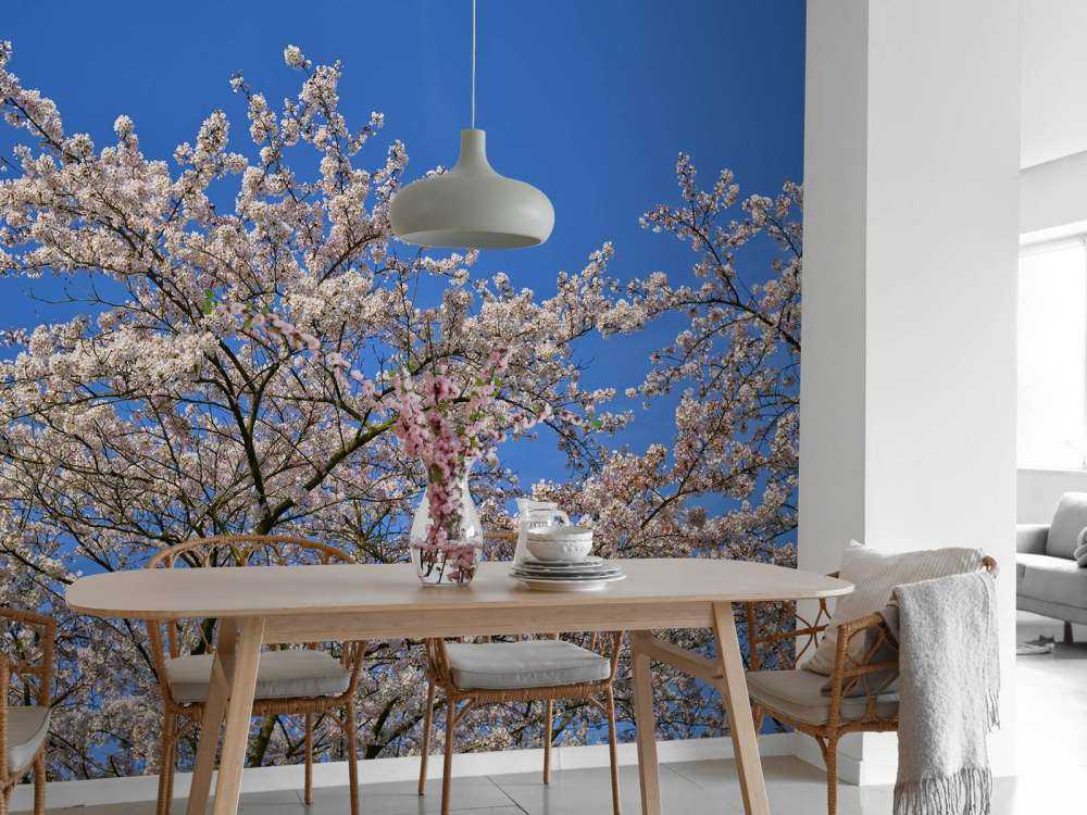 Kwiat z błękitem nieba