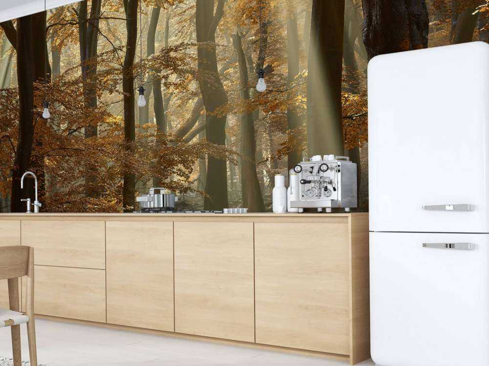 Jesienne kolory w lesie